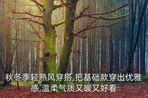 秋冬季轻熟风穿搭,把基础款穿出优雅感,温柔气质又暖又好看