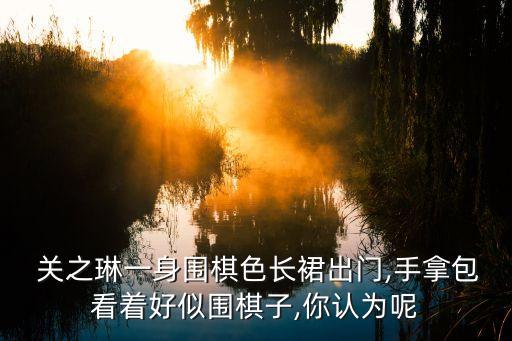  关之琳一身围棋色长裙出门,手拿包看着好似围棋子,你认为呢