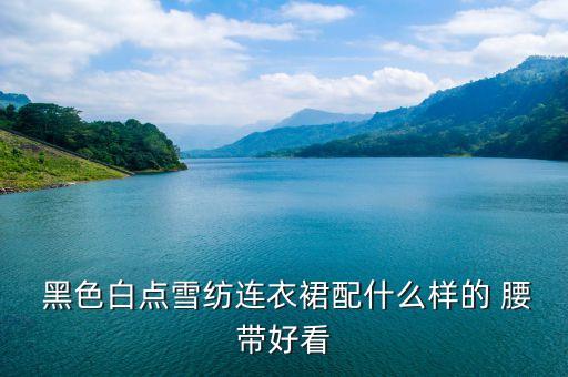  黑色白点雪纺连衣裙配什么样的 腰带好看