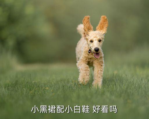 小黑裙配小白鞋 好看吗