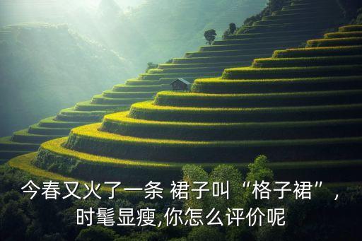 今春又火了一条 裙子叫“格子裙”,时髦显瘦,你怎么评价呢