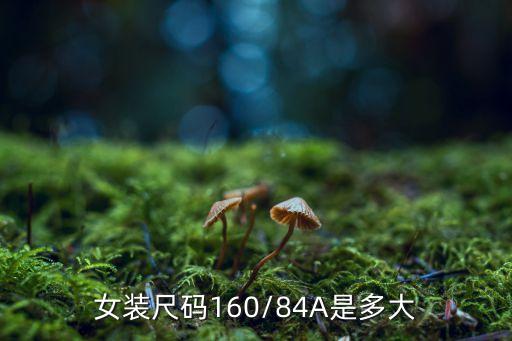 女装尺码160/84A是多大