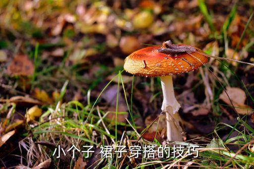 小个子 裙子穿搭的技巧