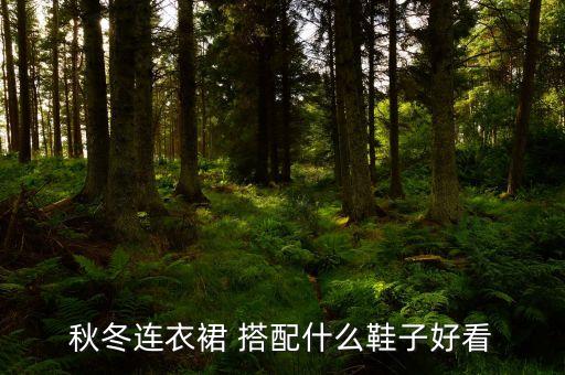 秋冬连衣裙 搭配什么鞋子好看