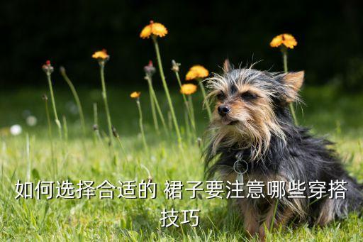 166裙子穿搭推荐,冬季裙子穿搭图片女