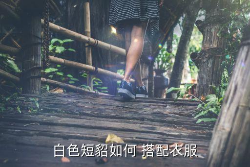 白色短貂如何 搭配衣服