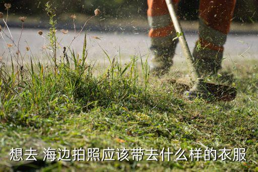 想去 海边拍照应该带去什么样的衣服