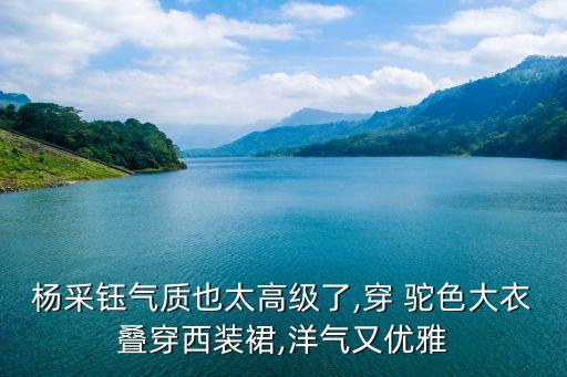 杨采钰气质也太高级了,穿 驼色大衣叠穿西装裙,洋气又优雅