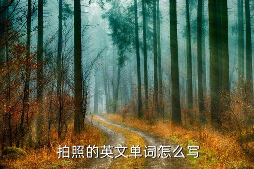 拍照翻译在线,百度翻译在线拍照扫一扫