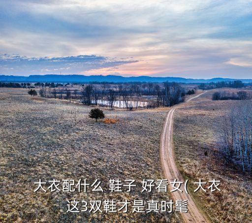  大衣配什么 鞋子 好看女( 大衣 这3双鞋才是真时髦