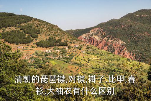 清朝的琵琶襟,对襟,褂子,比甲,春衫,大袖衣有什么区别