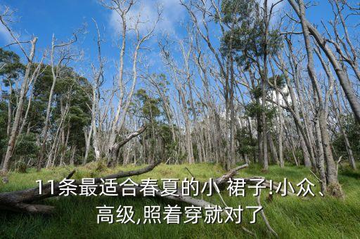11条最适合春夏的小 裙子!小众、高级,照着穿就对了