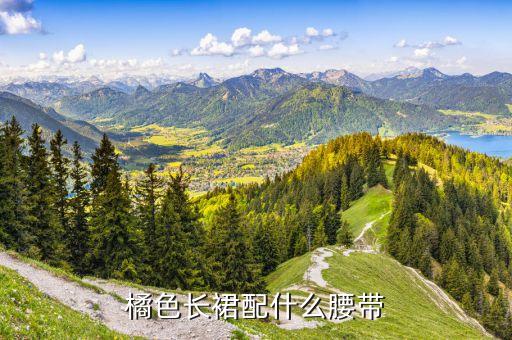 橘色长裙配什么腰带