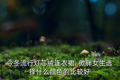 微胖裙子鲜艳冬天穿搭,微胖女人冬天穿什么裙子好看