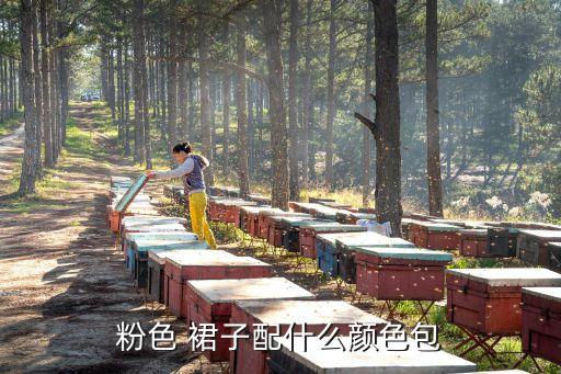 粉色 裙子配什么颜色包