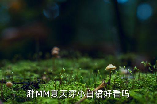 胖MM夏天穿小白裙好看吗
