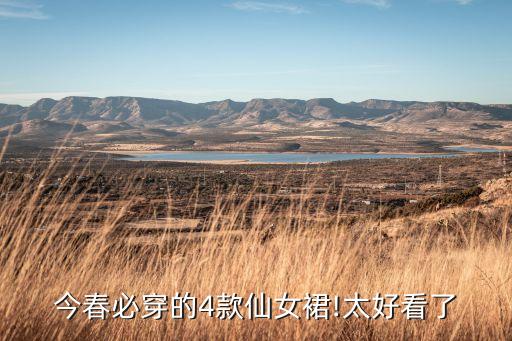 闺蜜穿搭裙子春季,小学生穿的闺蜜装裙子