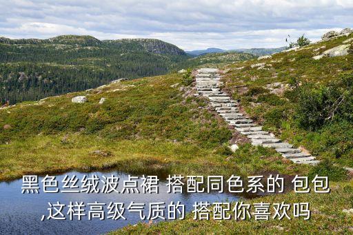 黑色丝绒波点裙 搭配同色系的 包包,这样高级气质的 搭配你喜欢吗