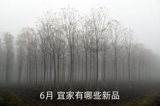 6月 宜家有哪些新品