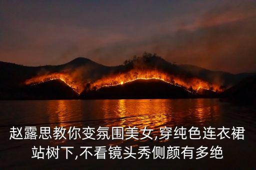 赵露思教你变氛围美女,穿纯色连衣裙站树下,不看镜头秀侧颜有多绝
