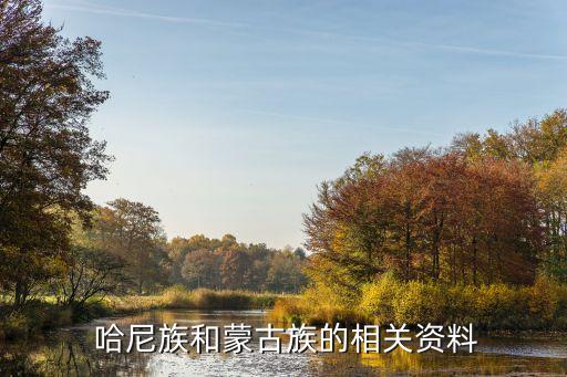 哈尼穿搭日记裙子