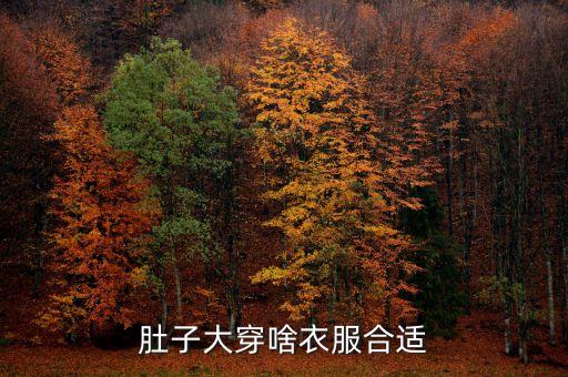 肚子大穿啥衣服合适