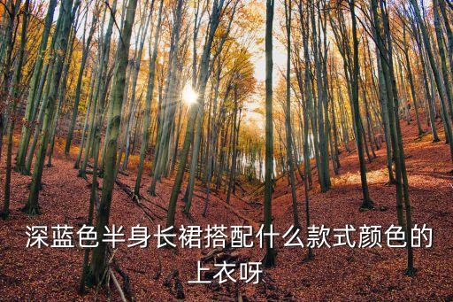  深蓝色半身长裙搭配什么款式颜色的上衣呀