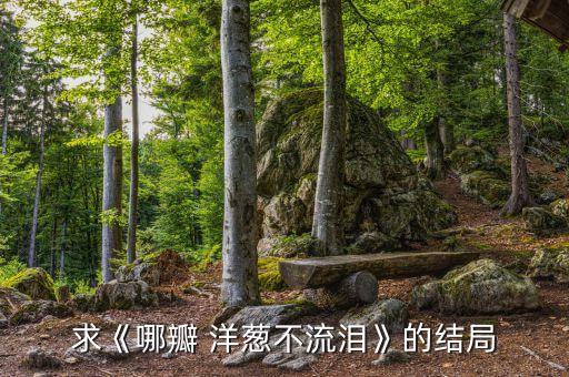 洋葱裤搭配裙子,鲨鱼裤怎么搭配裙子图片