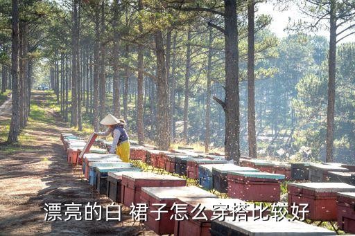 漂亮的白 裙子怎么穿搭比较好