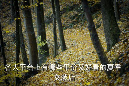 各大平台上有哪些平价又好看的夏季 女装店