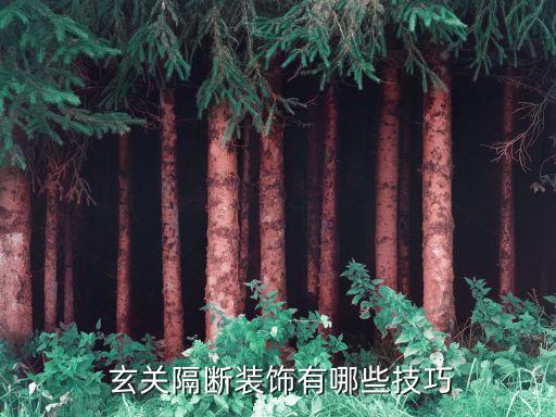玄关新材质搭配裙子
