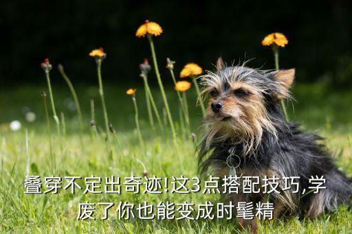 叠穿不定出奇迹!这3点搭配技巧,学废了你也能变成时髦精