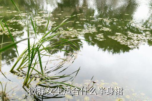 胖妇女穿什么裙子好看,胖人穿什么半身裙子显瘦好看