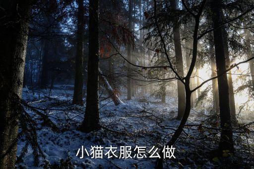 猫咪裙子搭配,给猫咪做裙子的教程