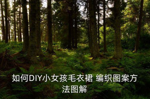 如何DIY小女孩毛衣裙 编织图案方法图解