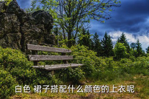 白色 裙子搭配什么颜色的上衣呢