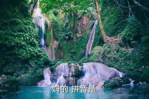妈妈的拼音几声怎么写,妈妈在打扫卫生的拼音怎么写