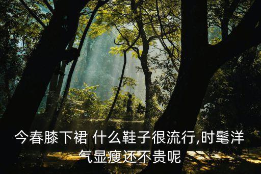 聚会裙子搭配帆布