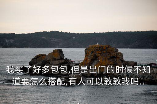 我买了好多包包,但是出门的时候不知道要怎么搭配,有人可以教教我吗...
