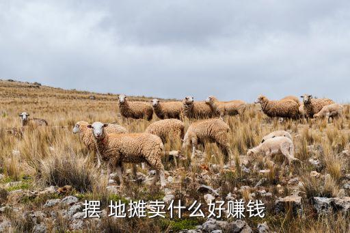 摆 地摊卖什么好赚钱