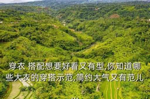 穿衣 搭配想要好看又有型,你知道哪些大衣的穿搭示范,简约大气又有范儿...