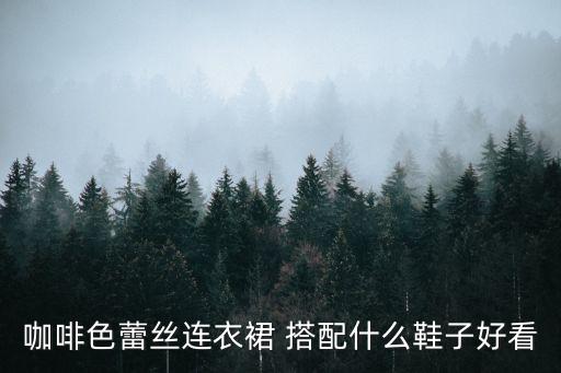 咖啡色蕾丝连衣裙 搭配什么鞋子好看
