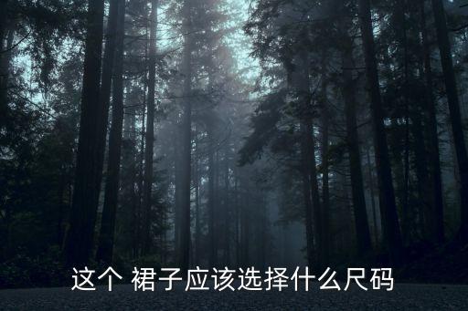 这个 裙子应该选择什么尺码