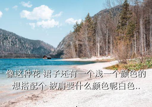 像这种花 裙子还有一个浅一个颜色的想搭配个 披肩要什么颜色呢白色...