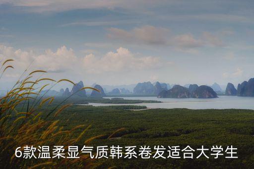 6款温柔显气质韩系卷发适合大学生