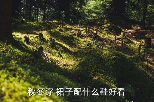 樱桃裙子搭配鞋,樱桃公主裙子