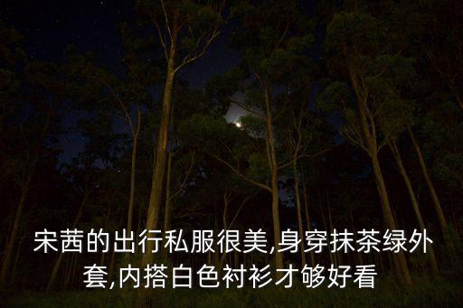 宋茜秋冬裙子搭配,秋冬裙子搭配什么鞋好看