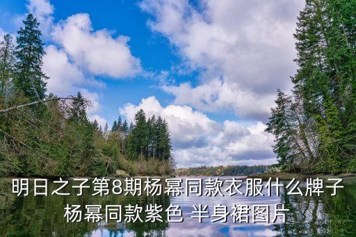 明日之子第8期杨幂同款衣服什么牌子杨幂同款紫色 半身裙图片