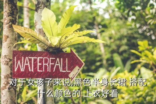 对于女孩子来说,黑色半身长裙 搭配什么颜色的 上衣好看