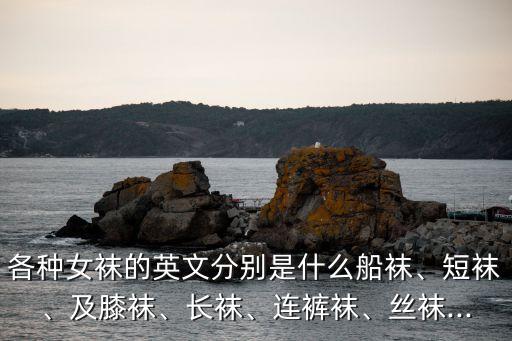 各种女袜的英文分别是什么船袜、短袜、及膝袜、长袜、连裤袜、丝袜...